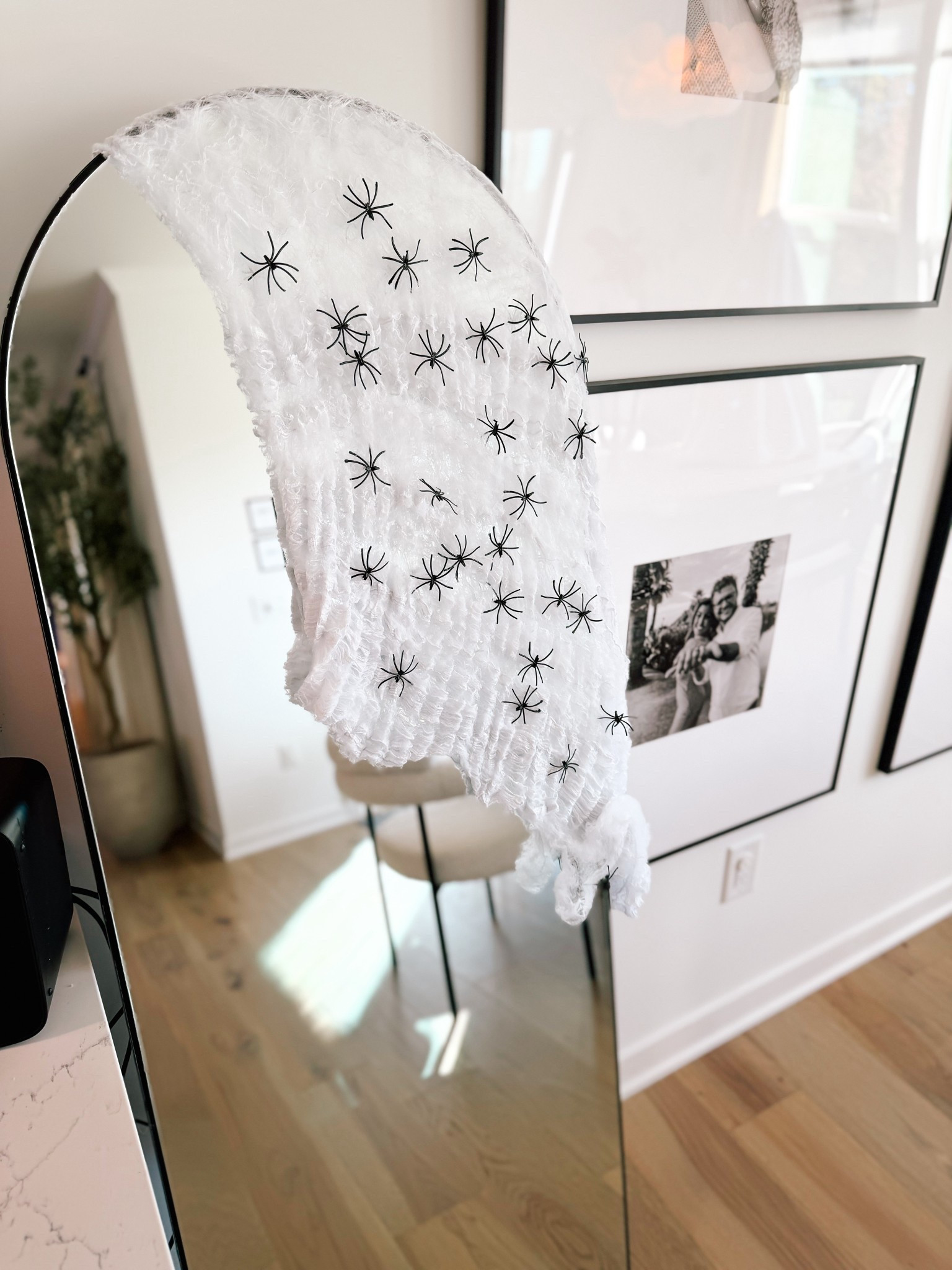 $6 spider web + spiders decor!

#LTKSaleAlert #LTKHoliday #LTKHalloween