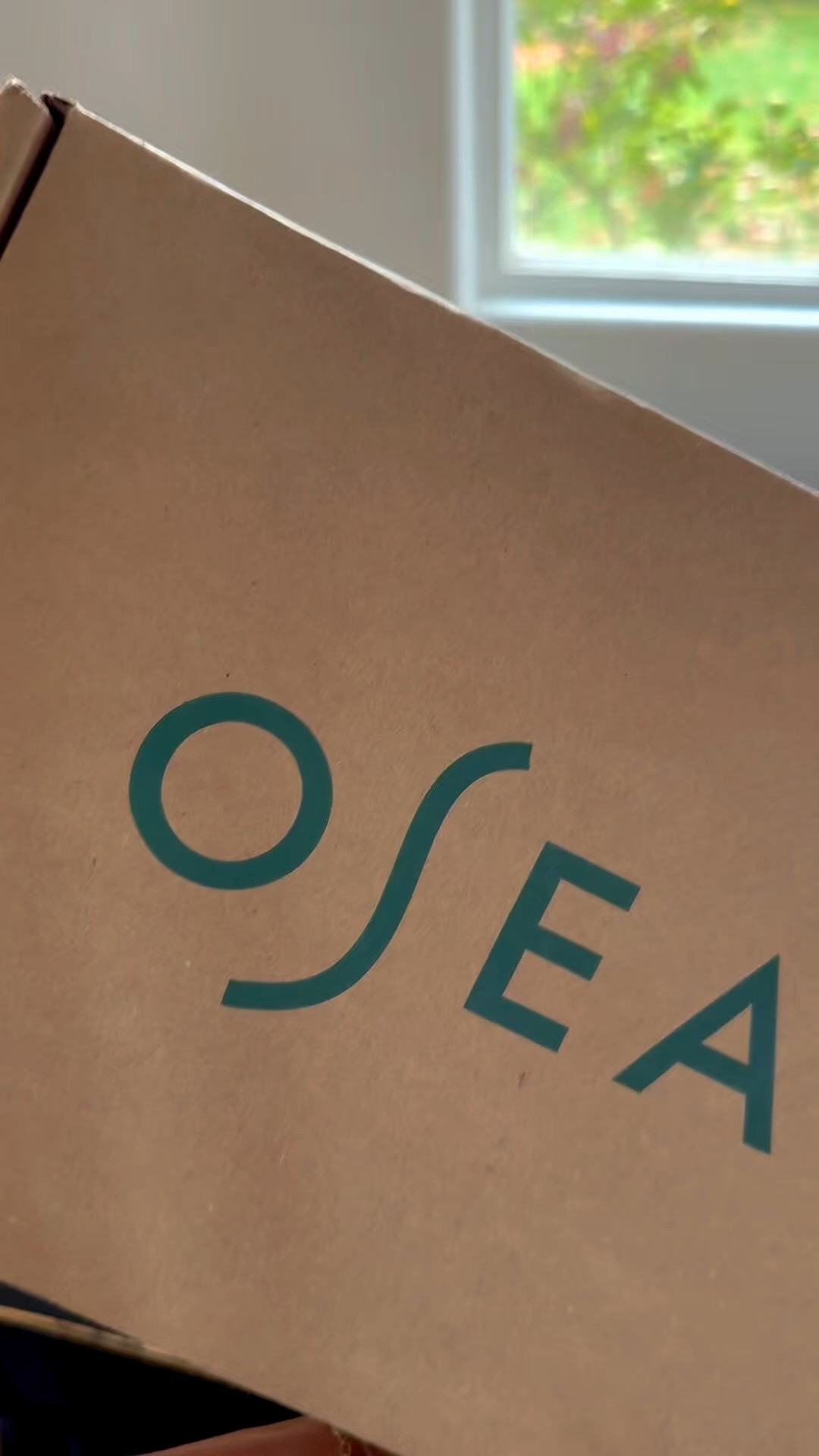 Some of my favorite products that I order on repeat ￼@OSEA Malibu 

#LTKselfcare #LTKBeauty