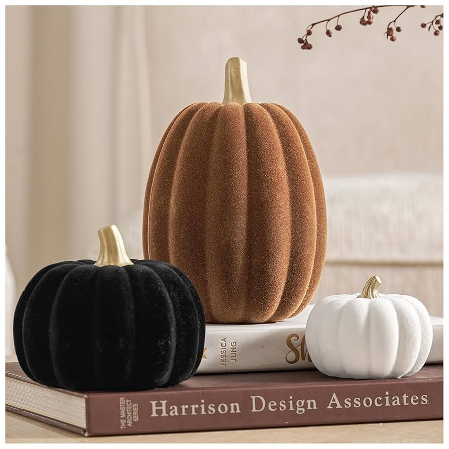 DN DECONATION 3 Pcs Fall Pumpkin Decorations – Flocked White Brown Black Resin Pumpkins Figurin... | Amazon (US)