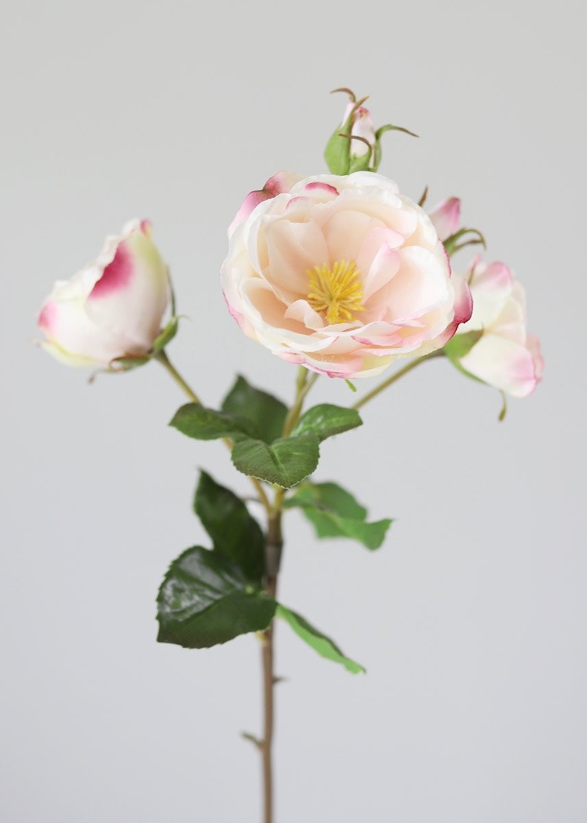 SALE - Pink and Fuchsia Silk Realistic English Roses | Afloral (US)