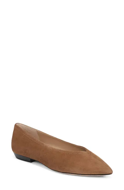 Veronica Beard Bancroft Pointed Toe Flat in Chestnut at Nordstrom, Size 11 | Nordstrom
