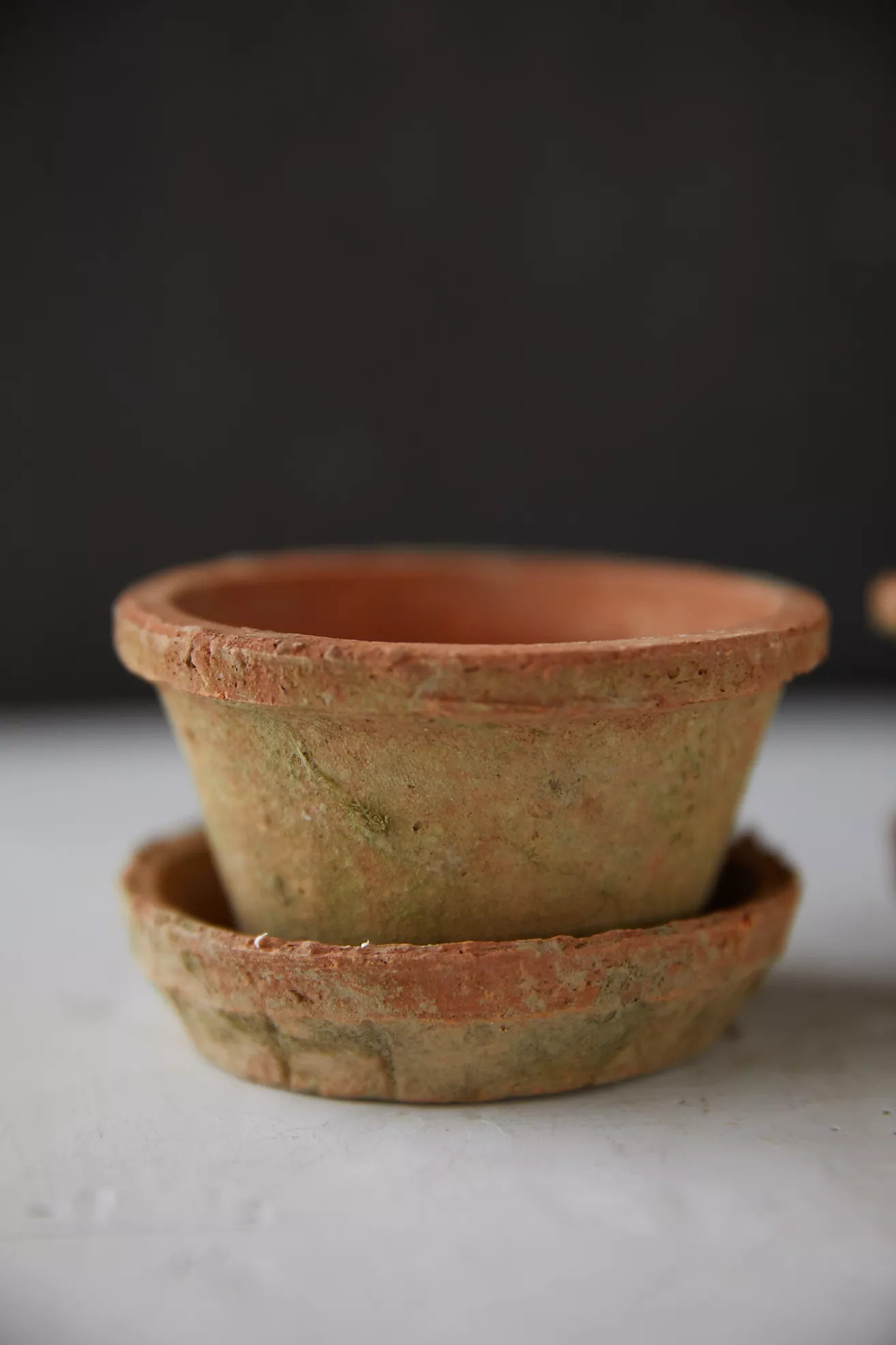 Earth Fired Clay Thin Rim Pot + Saucer, Set of 3 | Terrain