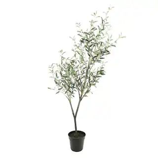 6ft. Potted Green Olive Leaf Tree by Ashland® | Michaels Stores