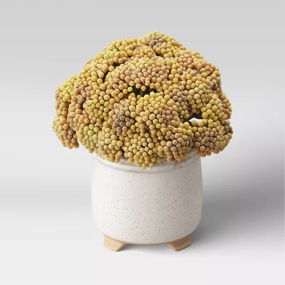 7.5" x 7" Artificial Trachelium Arrangement in Ceramic Footed Pot - Threshold™ | Target