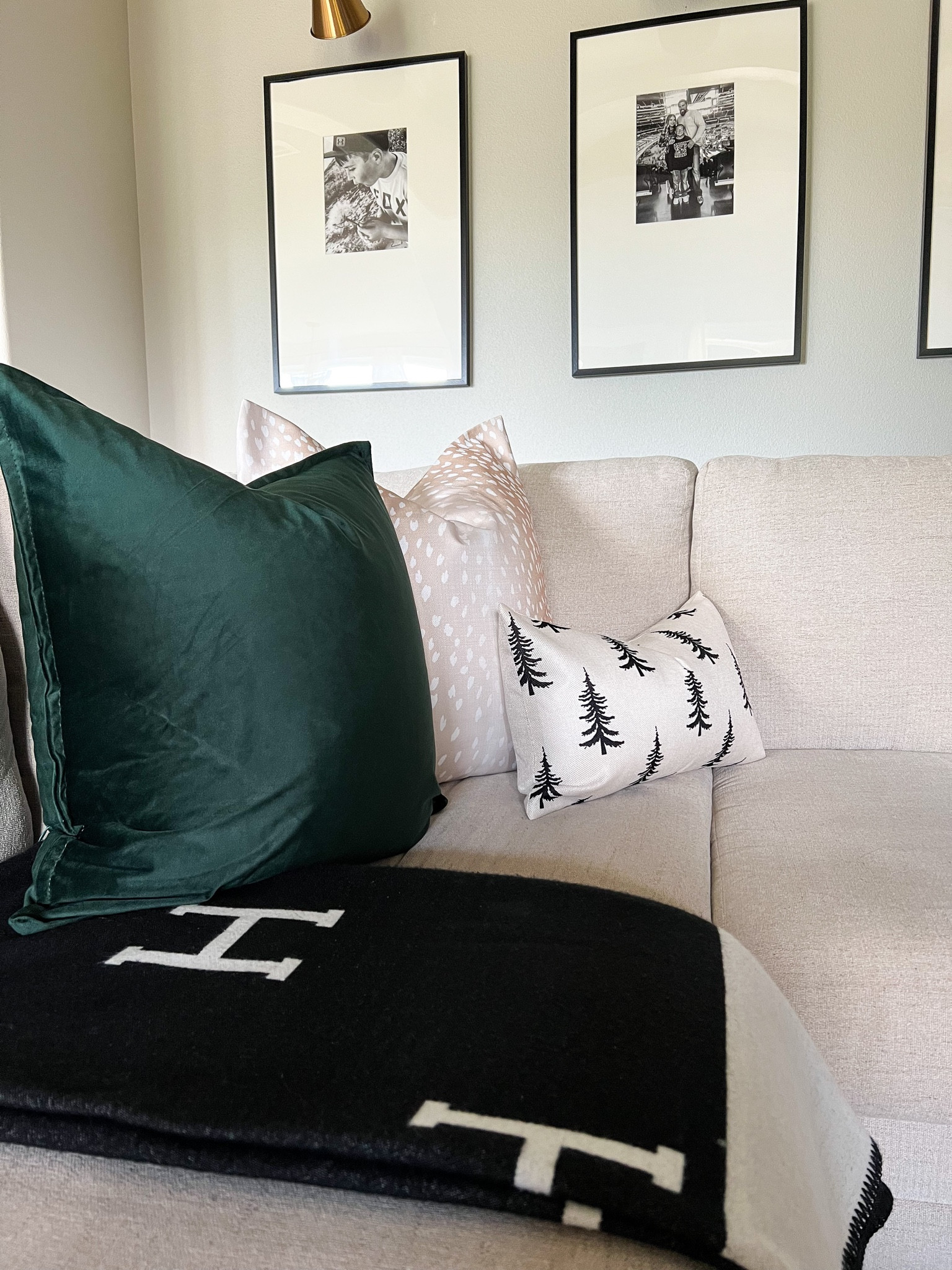 Christmas pillows. Blanket. Throw blanket, black and white, Amazon home, velvet, dark green pillow cover, antelope print, modern, Christmas tree, lumbar pillow

#LTKSeasonal #LTKHoliday #LTKhome