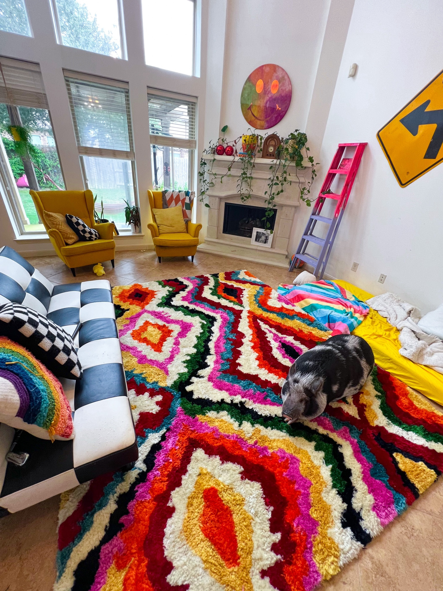 My old rainbow living room!🌈🩷✨ This fuzzy rainbow rug brought in allllll of the cozy vibes- Pumba’s a big fan 🤣🩷 This big rug is a great way to fill up empty space in any room!