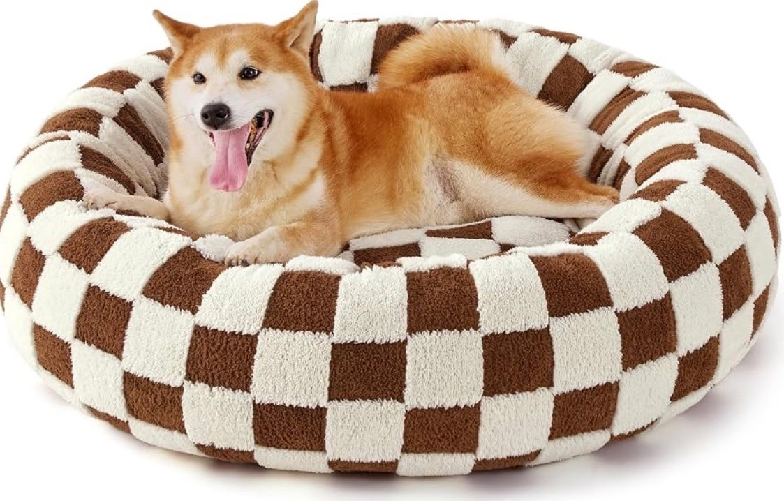 Aesthetic and comfy dog bed!

#LTKHome