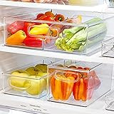 Kitchen Spaces Large Fridge Bin | Amazon (US)