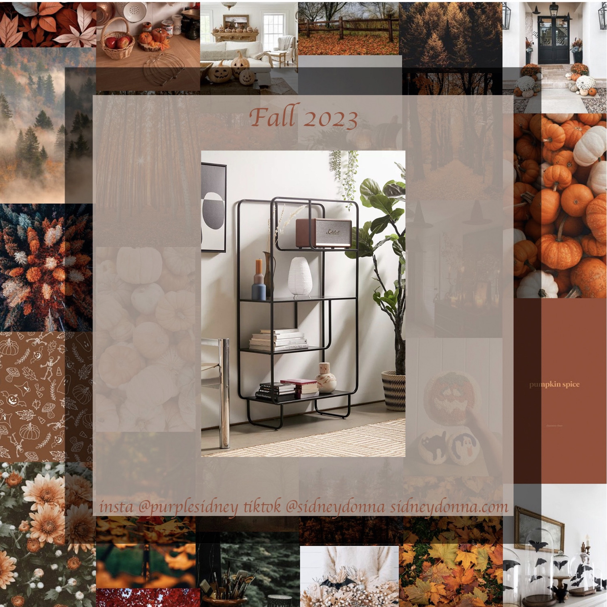2023 Fall Fashion and Home Decor 

Urban Outfitters 

Instagram @purplesidney
TikTok @sidneydonna
Sidneydonna.com

#LTKSeasonal #LTKGiftGuide #LTKhome