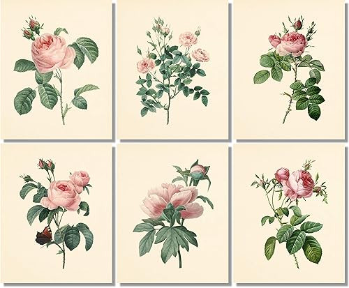 Vintage Pink Roses Botanical Prints - Flower Wall Art - (Set of 6) - 8x10 - Unframed - Floral Dec... | Amazon (US)