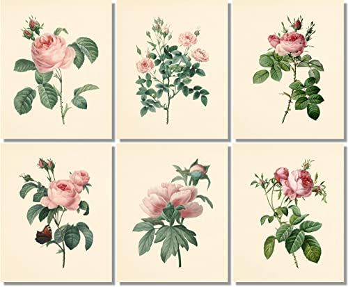 Vintage Pink Roses Botanical Prints - Flower Wall Art - (Set of 6) - 8x10 - Unframed - Floral Dec... | Amazon (US)