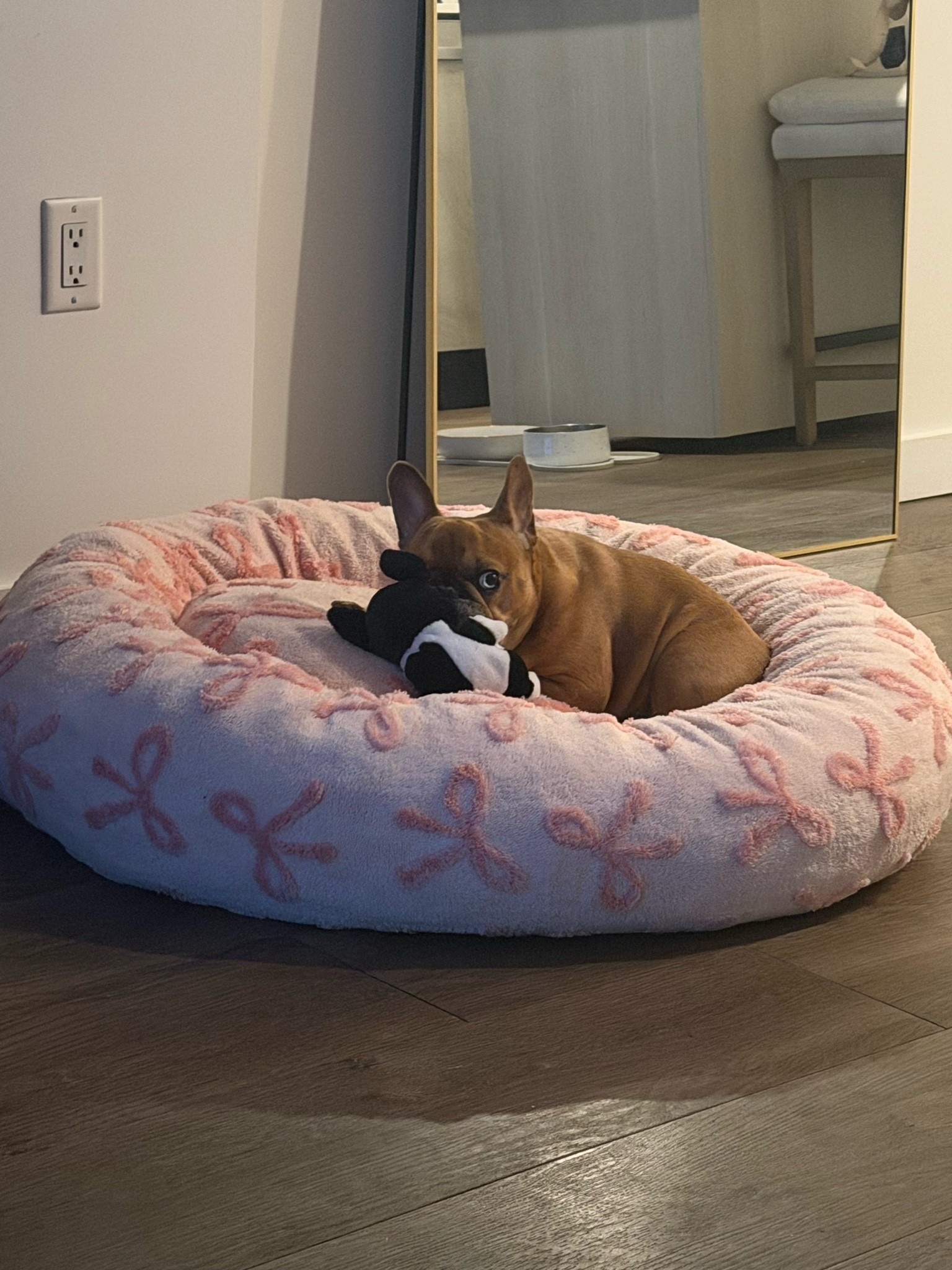 Bella’s favorite bed 🩰🩰🩰

#LTKmomlife #LTKHome
