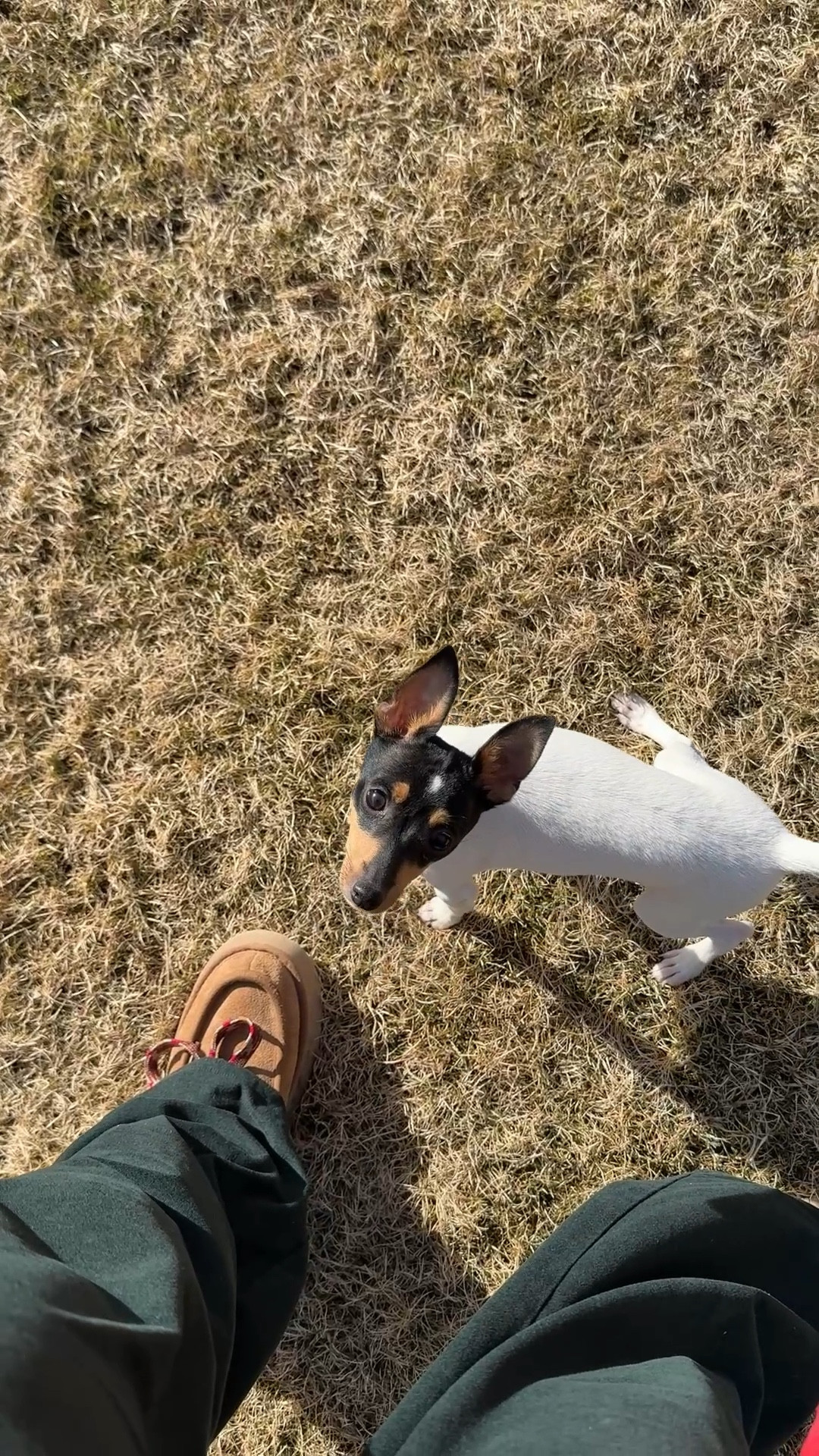 These two are so funny together! They could run around in the bunkers all day.

#LTKdayinmylife #LTKmomlife