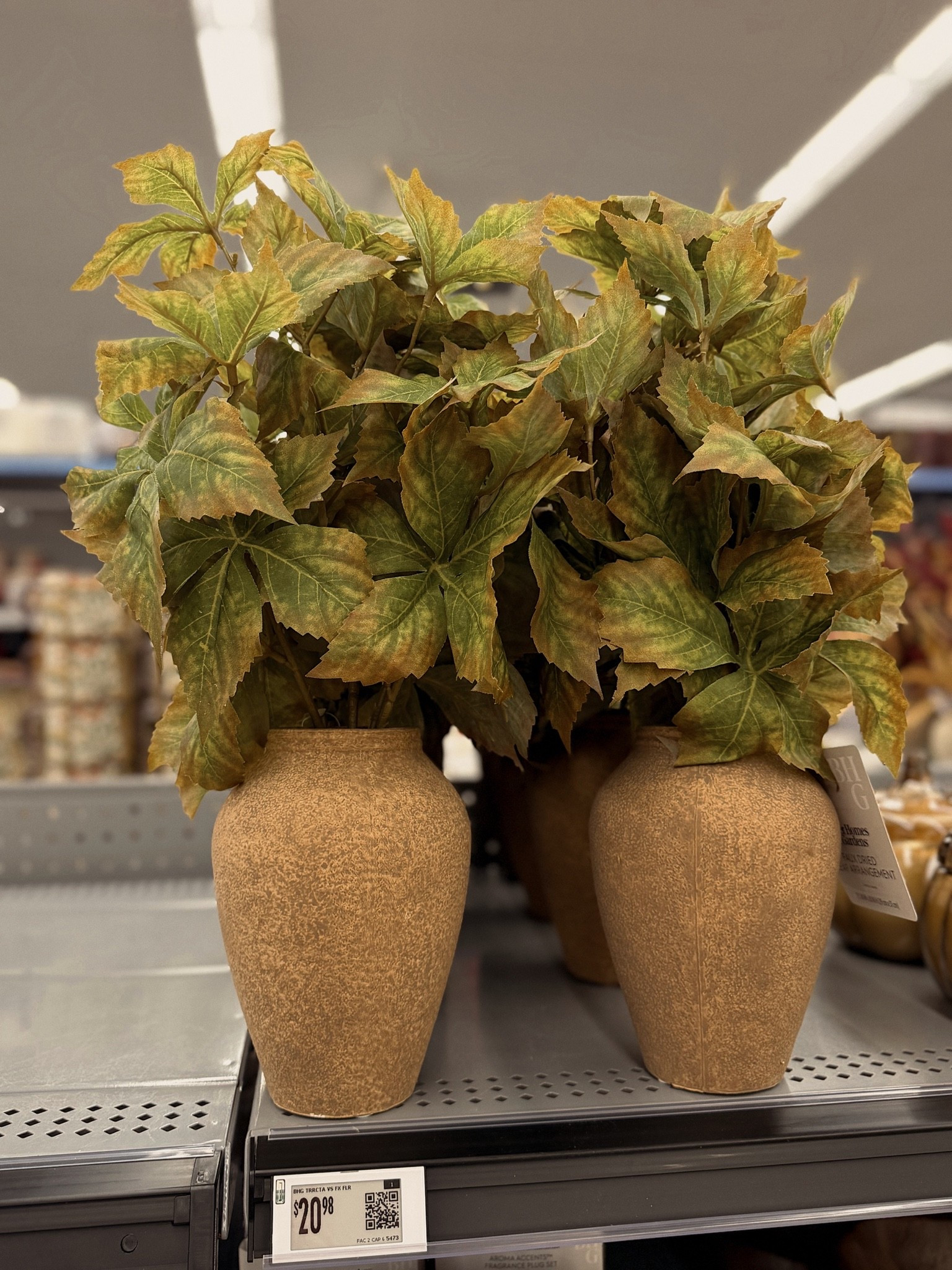 Cozy fall stems!

#LTKHome