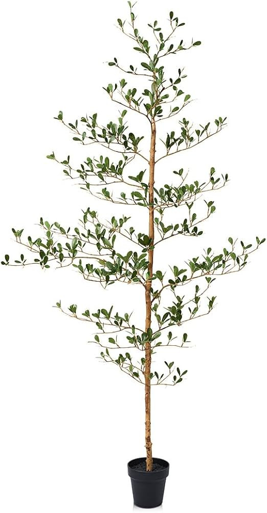 VeriNatural | Amazon (US)