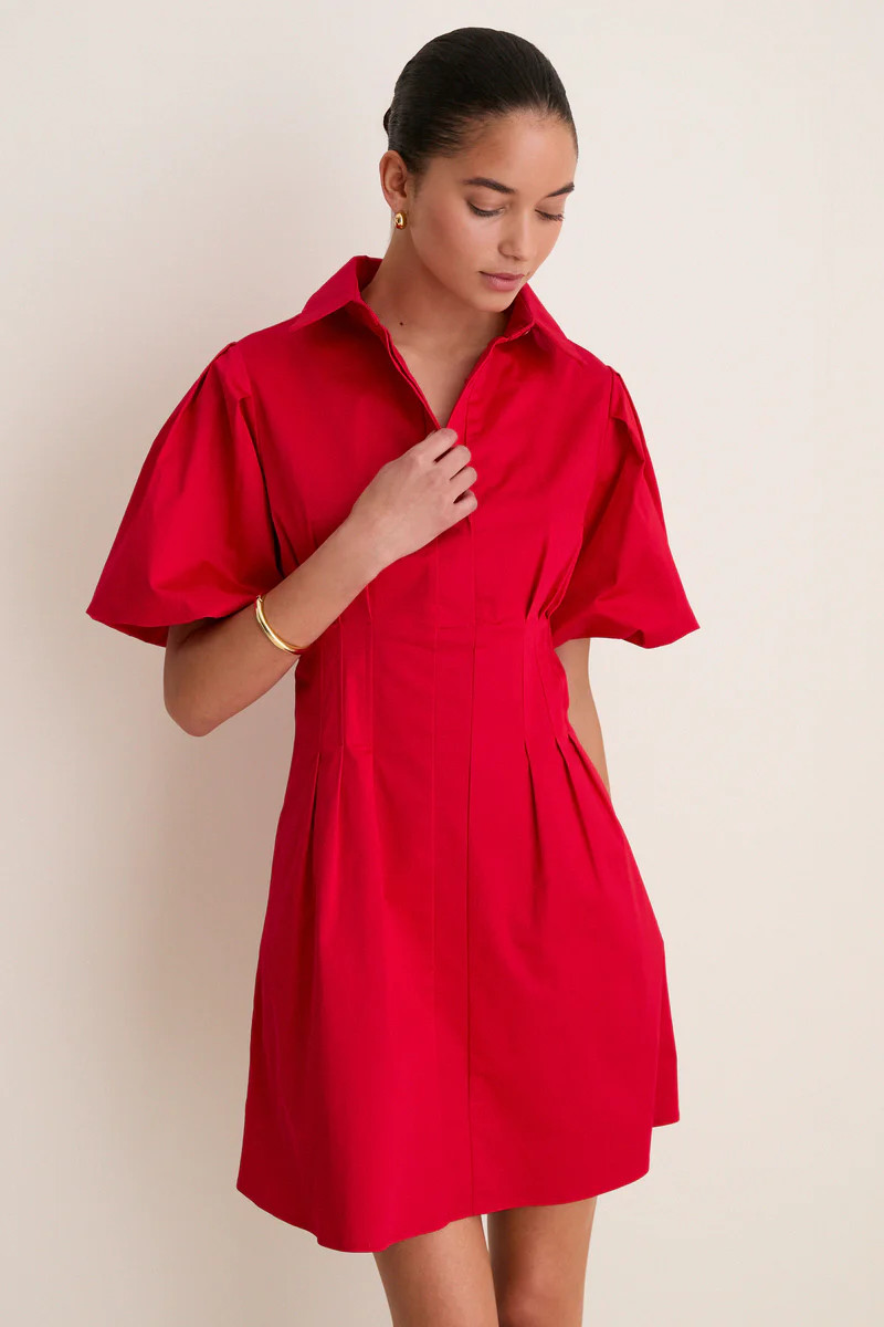 Red Mini Delaney Dress | Tuckernuck (US)