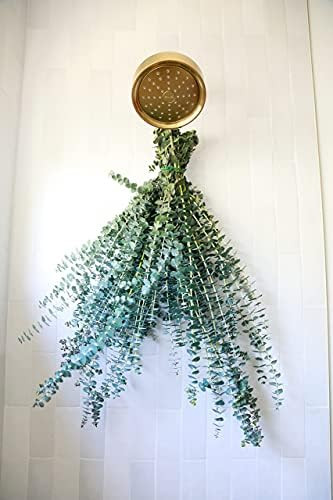 MAMA WUNDERBAR Eucalyptus Shower Bundle, a self Care kit with Fresh Eucalyptus Stems. Natural Eucaly | Amazon (US)