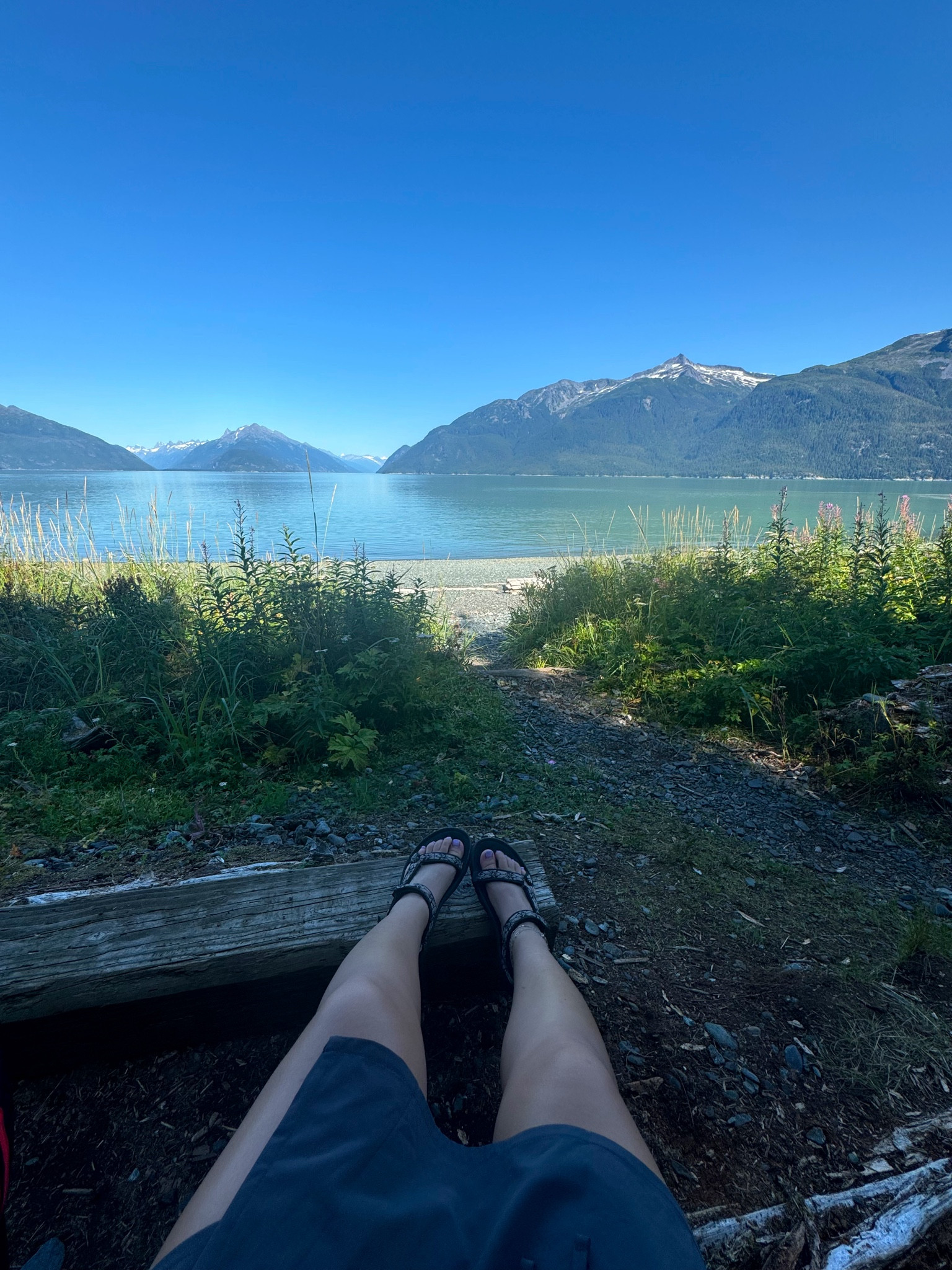 hikes with a view >>

hiking inspo, hiking outfit


#LTKActive #LTKStyleTip #LTKFitness