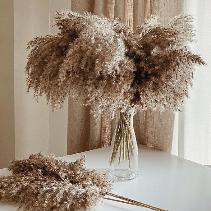 30 Stems Home Decor - Natural Dried Pampas Grass, Fluffy Brown Pompas Grass, Dry Small Pampas Bul... | Amazon (US)
