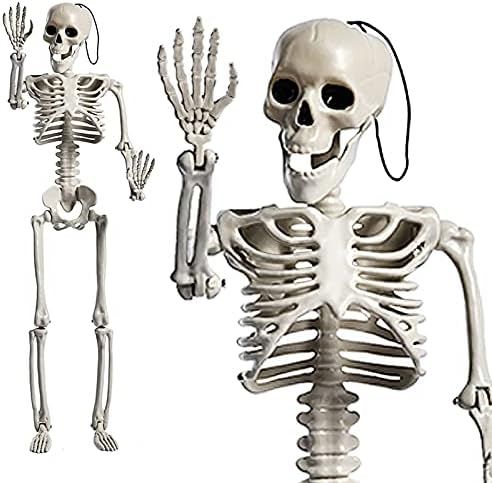 Amazon.com: CPHBO 24 Inches Halloween Skeleton Full Body Posable Movable Jonints for Halloween De... | Amazon (US)
