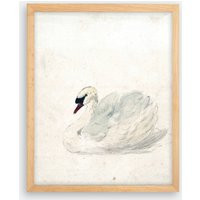 Vintage Swan Drawing Art Print, 18Th Century Bird Wall Decor | Etsy (US)