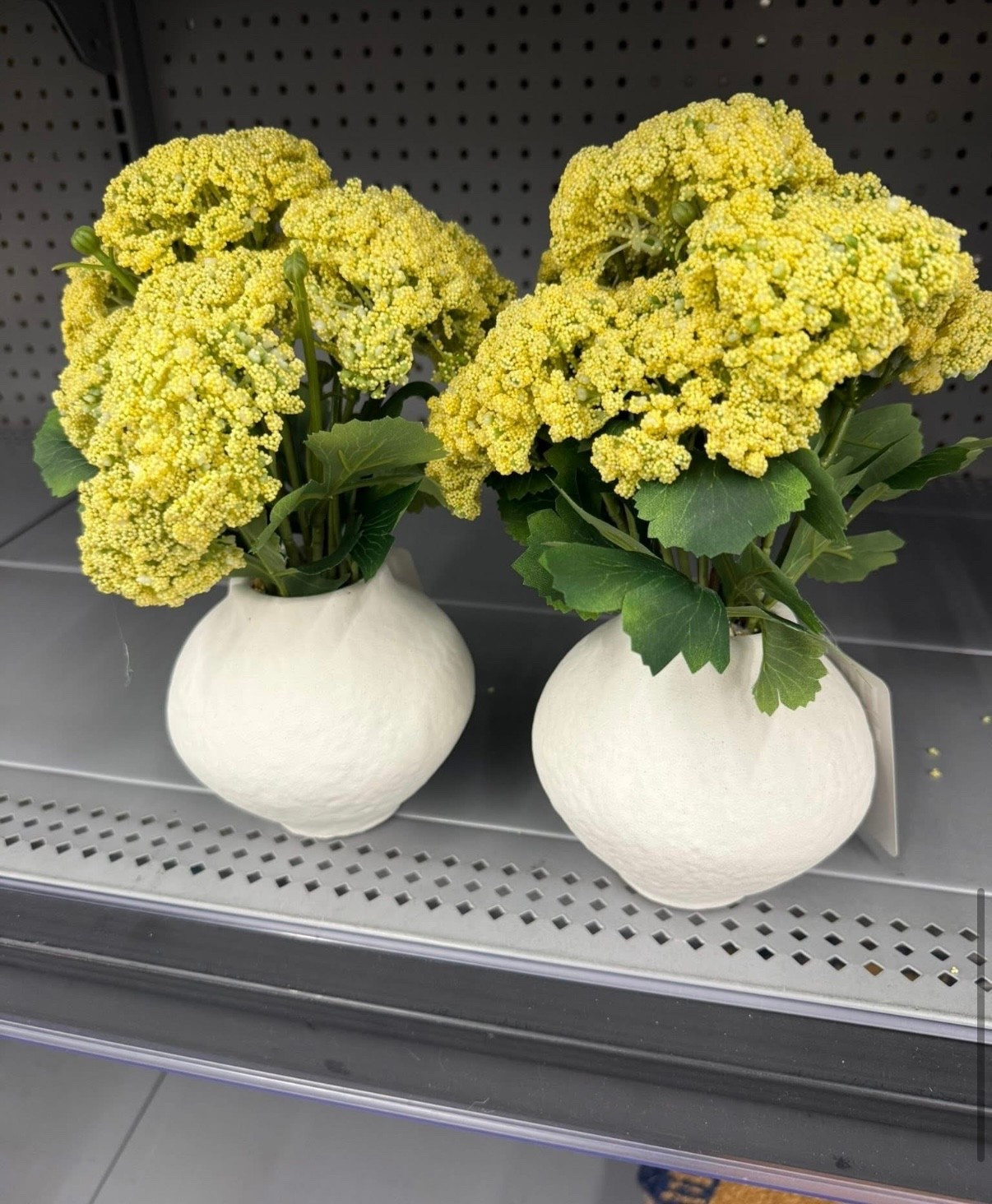 this type of stem ALWAYS sells out 🌿

don’t miss this new decor find — too good



linking it before it’s gone 

#LTKSeasonal #LTKdayinmylife #LTKHome