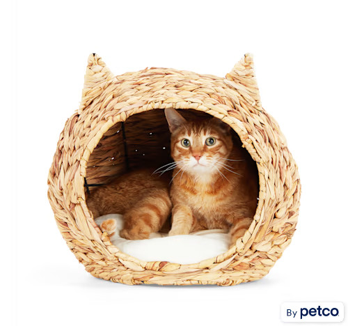 EveryYay Straw Cat Head Bed, 16.5" L X 14.2" W X 14.5" H | Petco