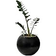 Green Boutique Round Big Modern Fiberglass Planter Bubble Like Elegant Shape Tree Pot Indoor Outd... | Amazon (US)