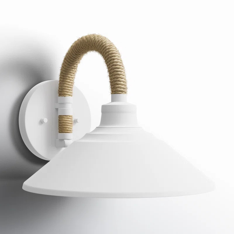 Birch Lane™ Reesie 1 - Light Dimmable Natural Black Barn Light & Reviews | Wayfair | Wayfair North America