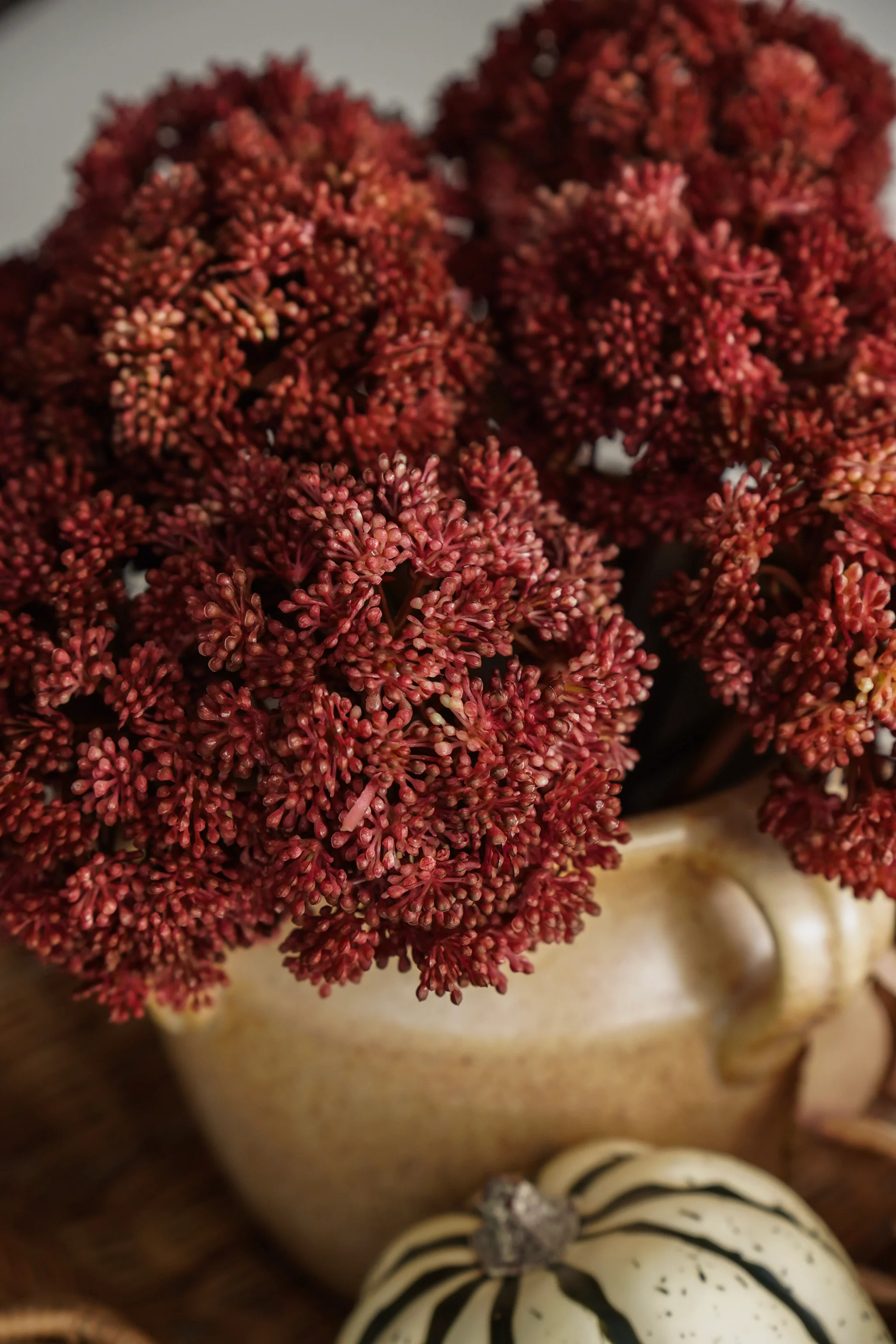 Dusty Cranberry Seed Pod Bundle | MJHome