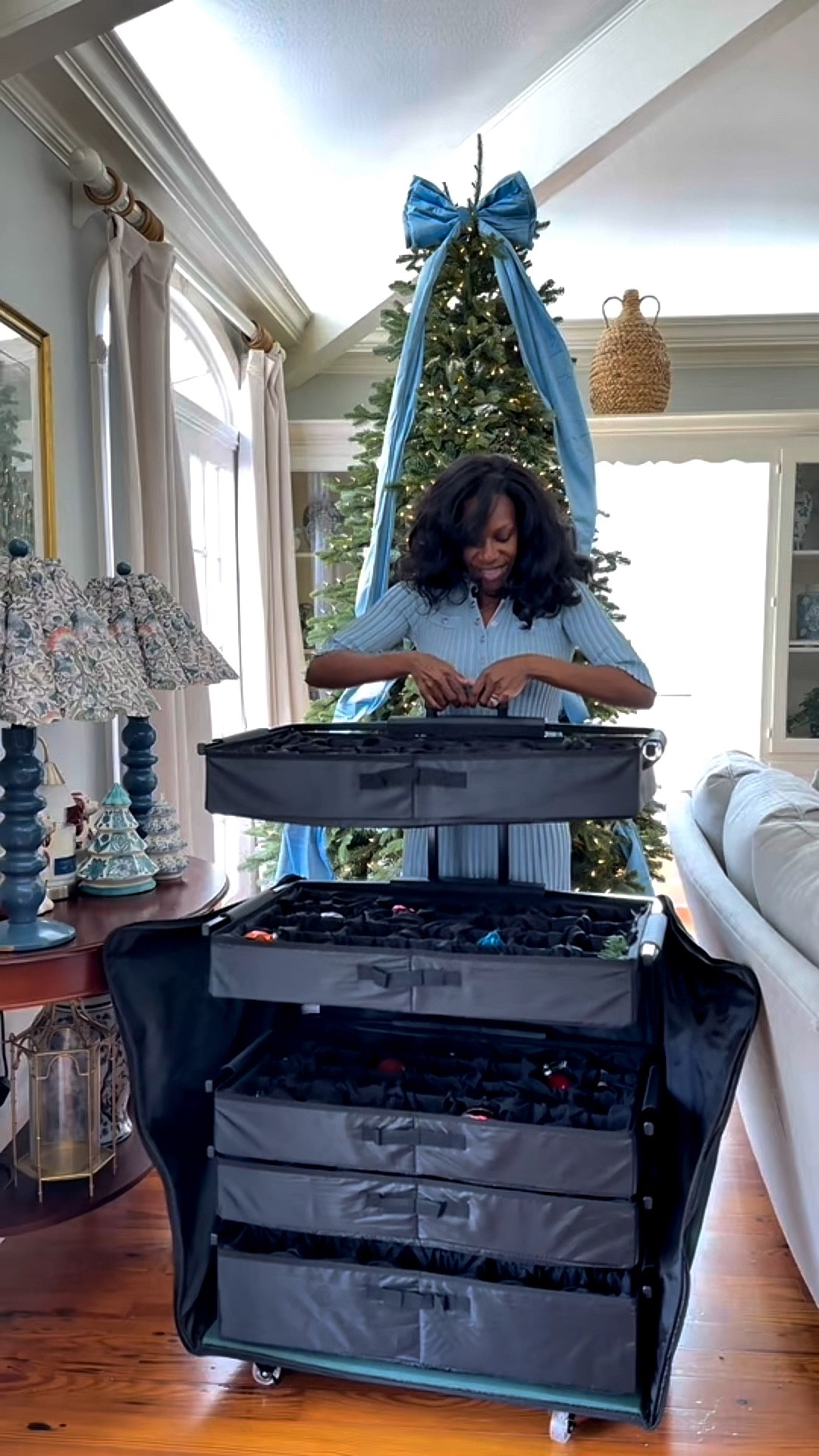 Christmas Tree and ornament storage cart

#LTKHoliday #LTKOver40