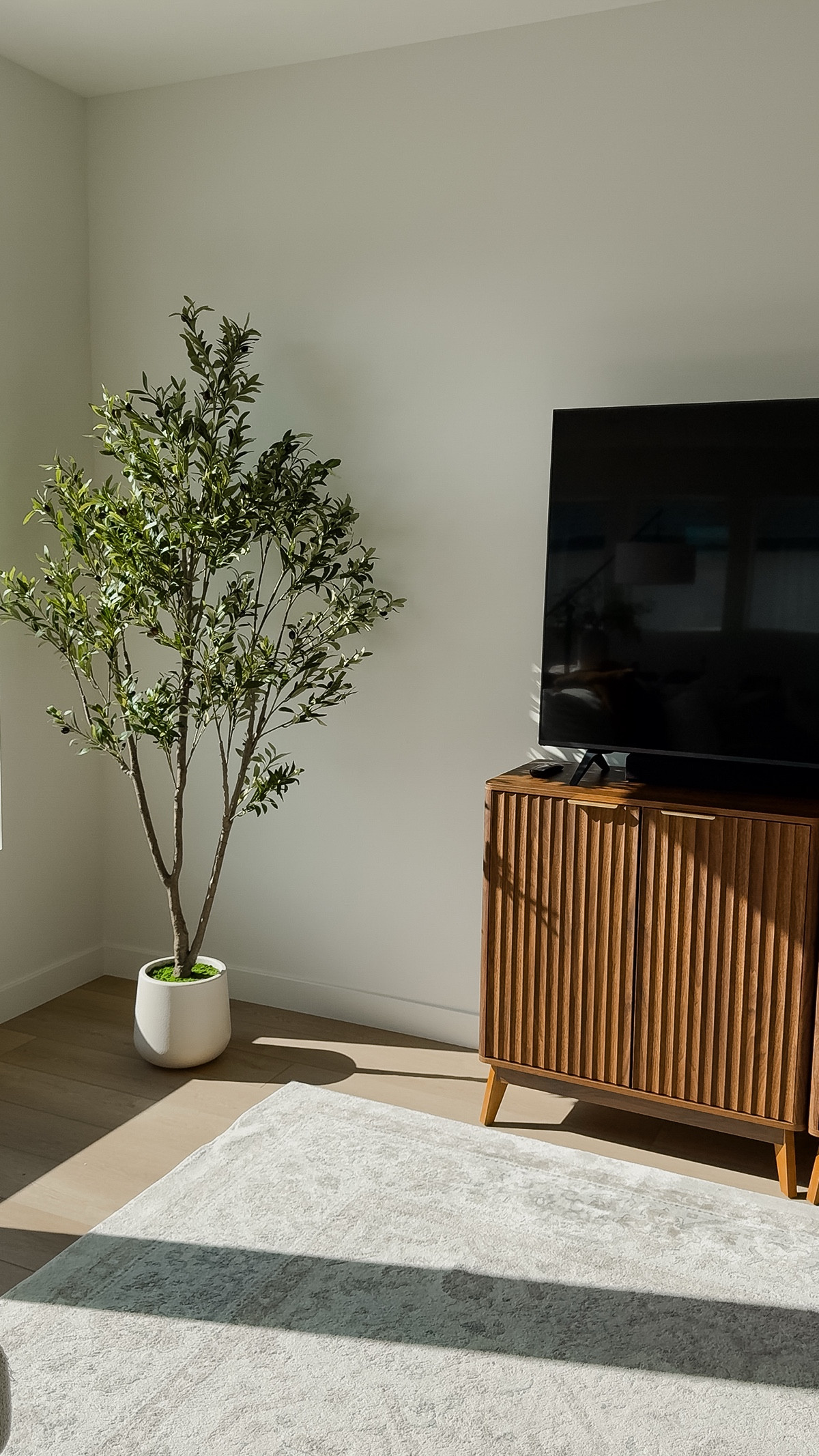 7 foot Olive tree🕊️ 
She is BEAUTIFUL. I am going to buy a new pot but you could definitely leave as is. 

#LTKFamily #LTKHome