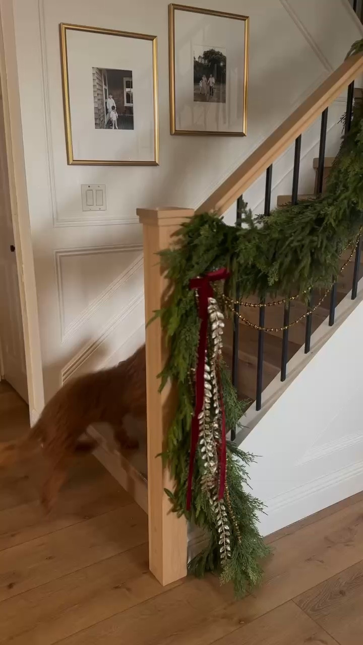 Getting ready for the holidays ✨ Shop my favorite Christmas decor!

#LTKhome #LTKholiday #christmasdecor #holidaydecor #festivedecor #homedecor #ltkit


#LTKHome #LTKHoliday #LTKSeasonal