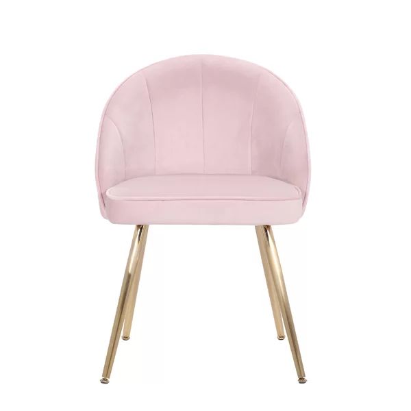 Nesmith Velvet Upholstered Side Chair | Wayfair North America