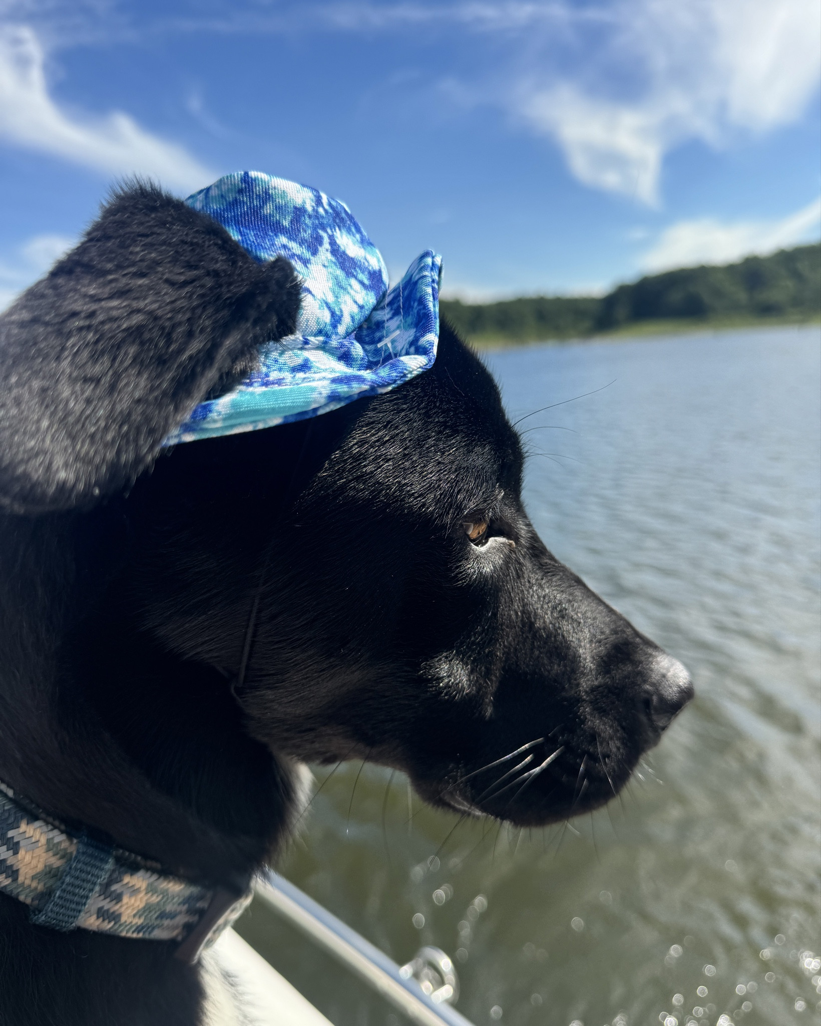 Who doesn’t love a pup in a sun hat? Our new puppy Chevy was loving his new matching floating disc at the lake! 

#LTKSummerSales #LTKFamily #LTKTravel