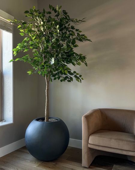 Faux tree must have that is super affordable yet looks realistic and is absolutely stunning. 
Battery operated lighting to elevate the look… love seeing them all lit at night 
Round planter …linking less pricey ones I own and love as well
Amazon home 
Target side chairs 


#LTKSeasonal #LTKhome #LTKstyletip