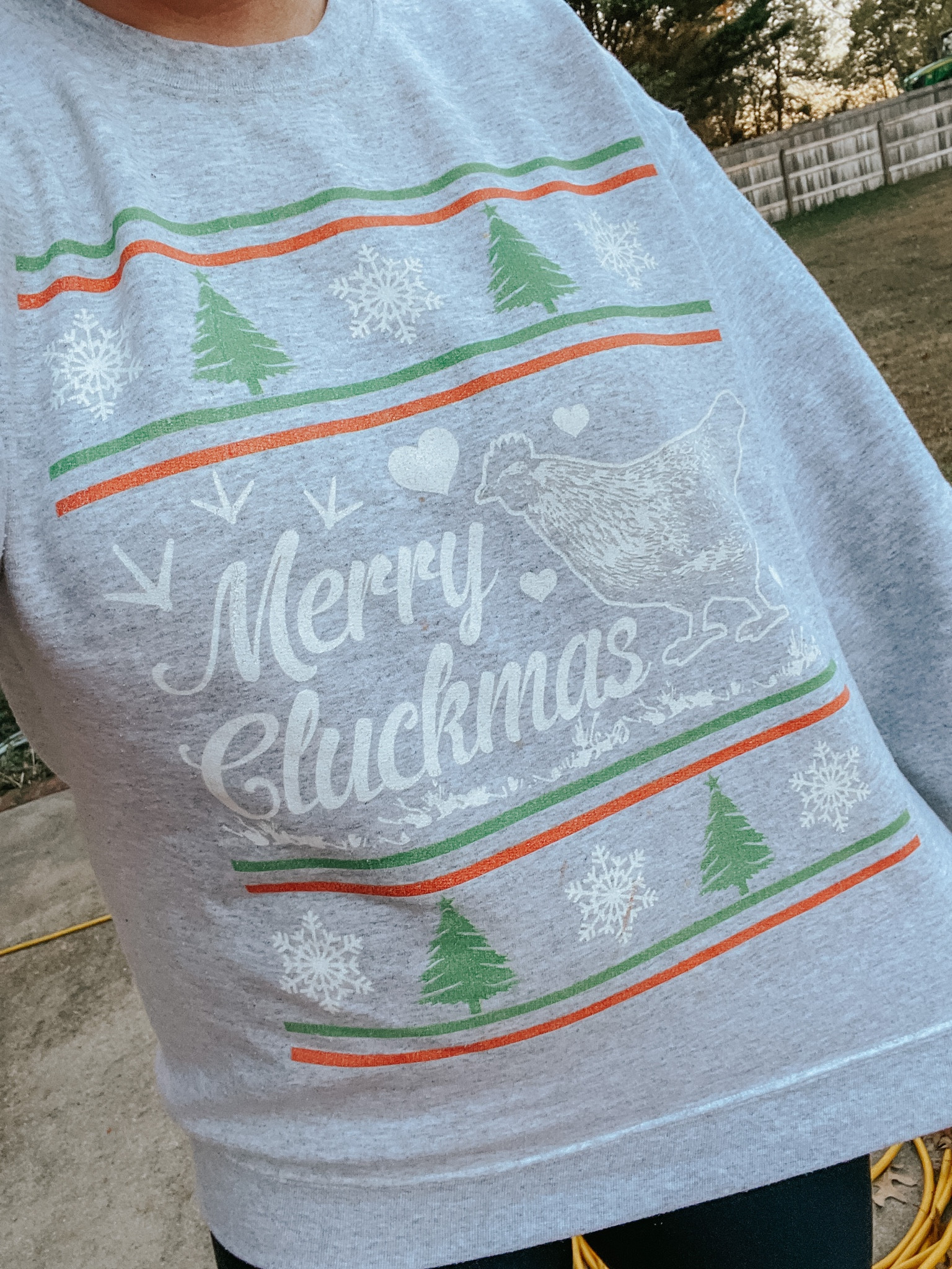 Merry Cluckmas Christmas sweatshirt from Amazon 

#LTKHoliday #LTKGiftGuide #LTKSeasonal