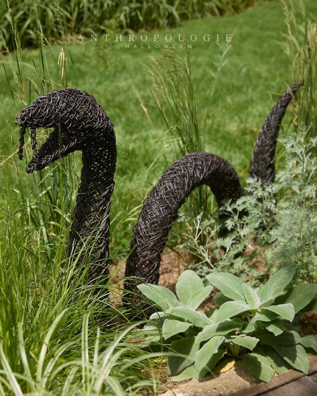 High $$ item, but sooooo cool. 

Anthropologie Halloween
Halloween decor 
Outdoor Halloween decor 
Giant woven rattan snake

#LTKSeasonal #LTKHome