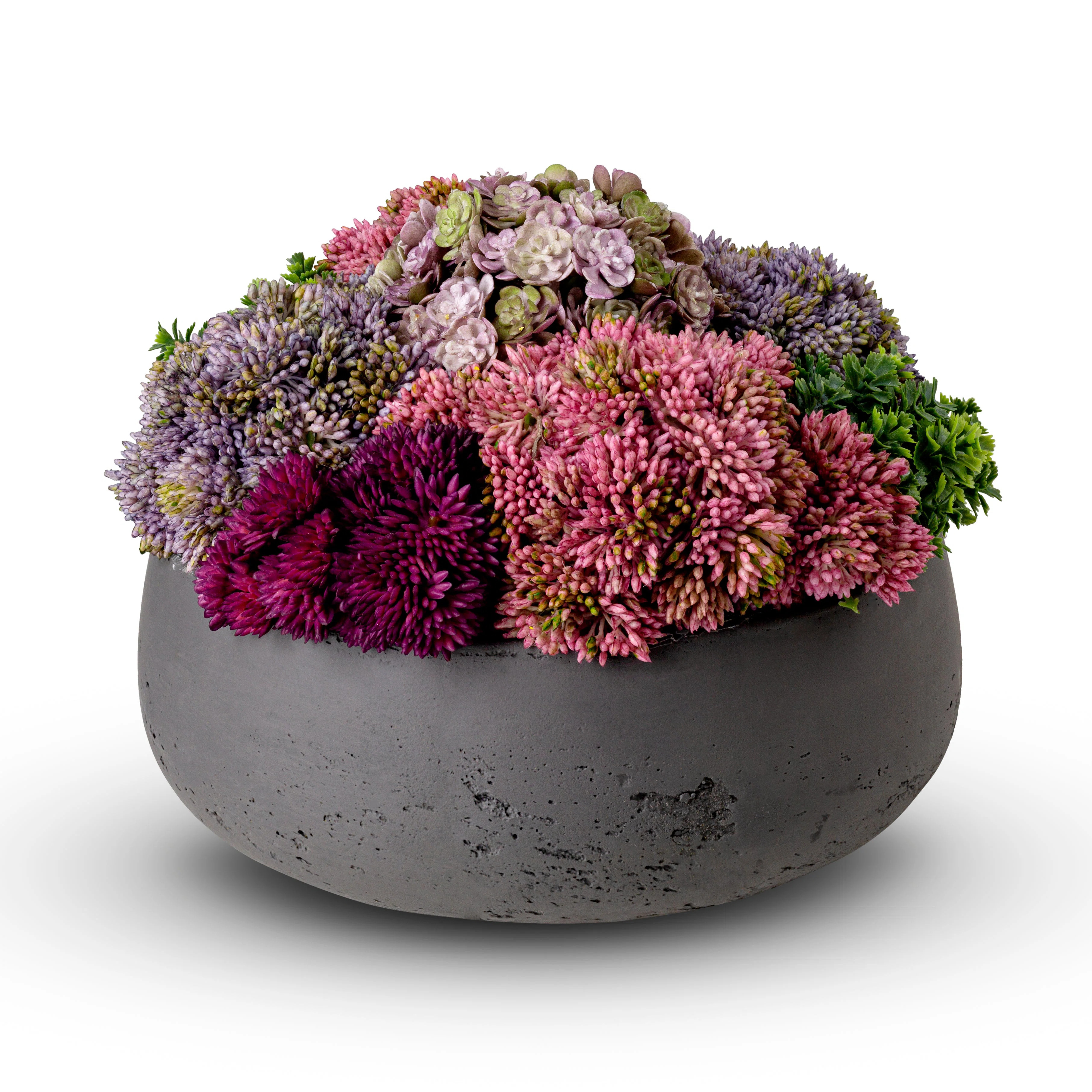 Artful Interiors Sedum Floral Arrangement in Pot | Wayfair North America