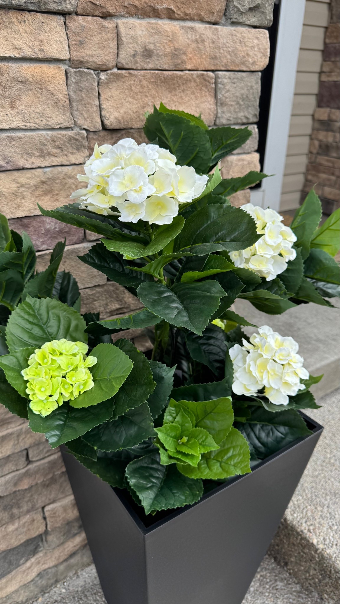 Can you believe these are fake? Even better - they are for the exterior!! 

The planters are the 24” ones from Costco but the shortest I can find online is 26”! They have a tray inside that the flowers sit on 😊

#LTKHome #LTKFindsUnder50 #LTKSeasonal