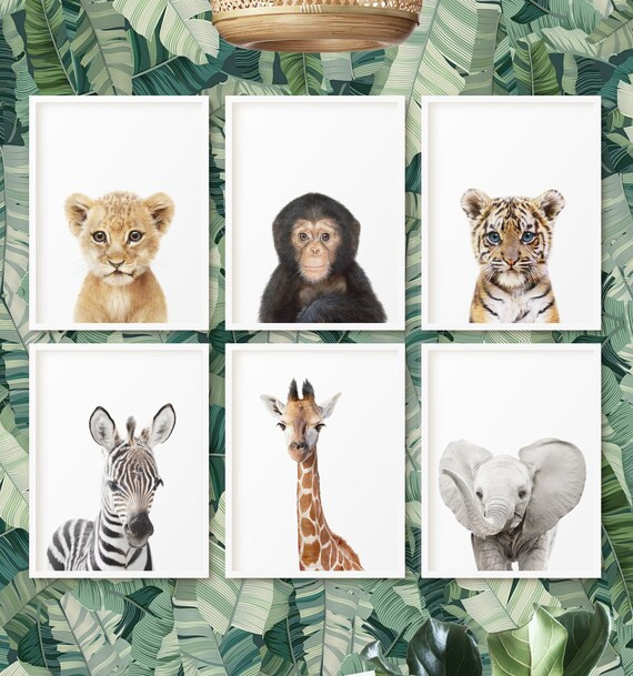 Jungle Animal Print, Safari Nursery Print, Set of 6 Baby Animal Wall Art Prints, Printable Poster... | Etsy (US)