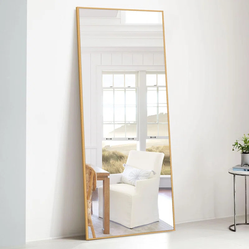 Kinkaid Metal Framed Full Length Hanging Mirror | Wayfair North America