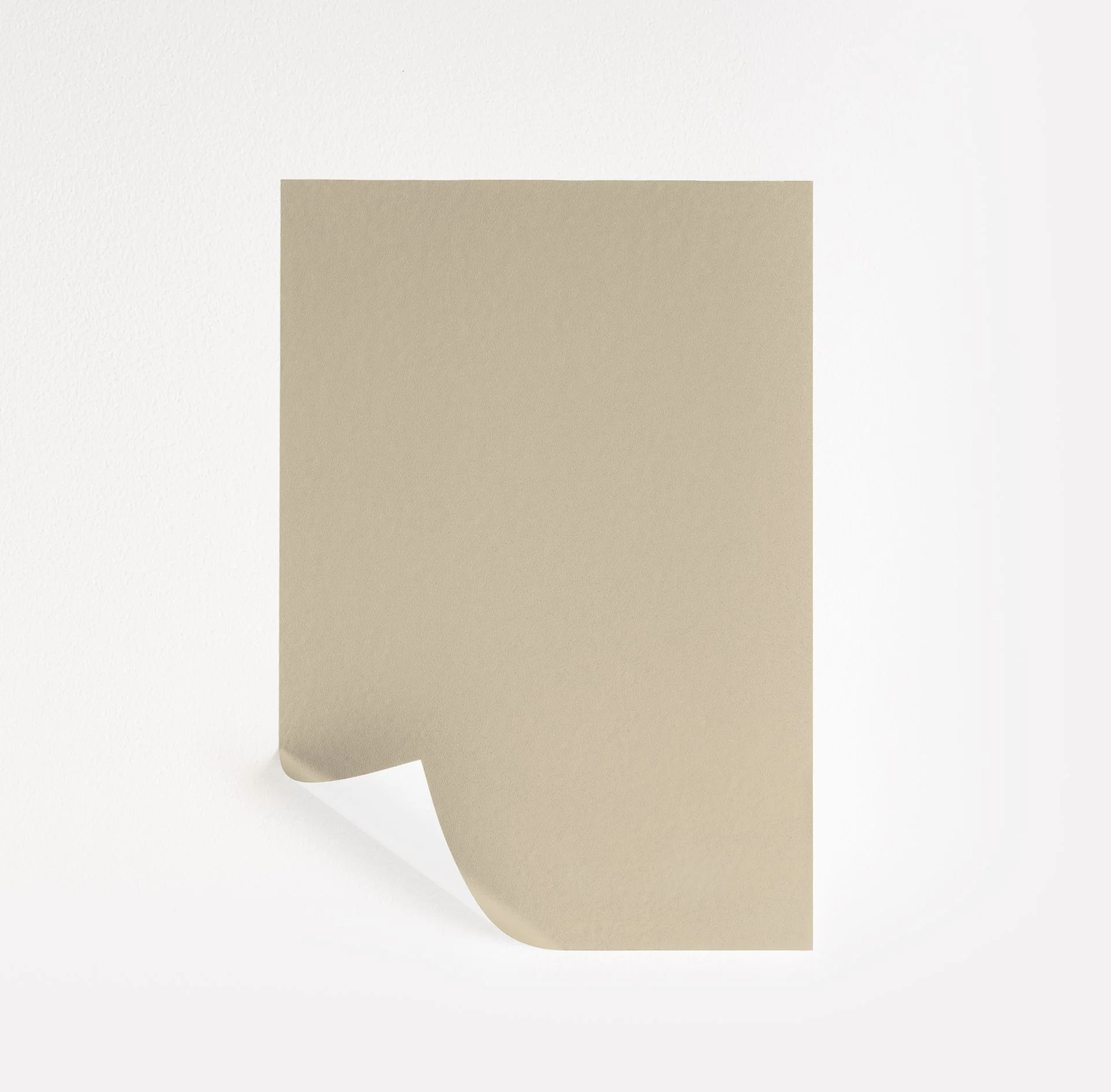 Hush Paint Sample by Benjamin Moore (AF-95) | Peel & Stick Paint Sample | Samplize