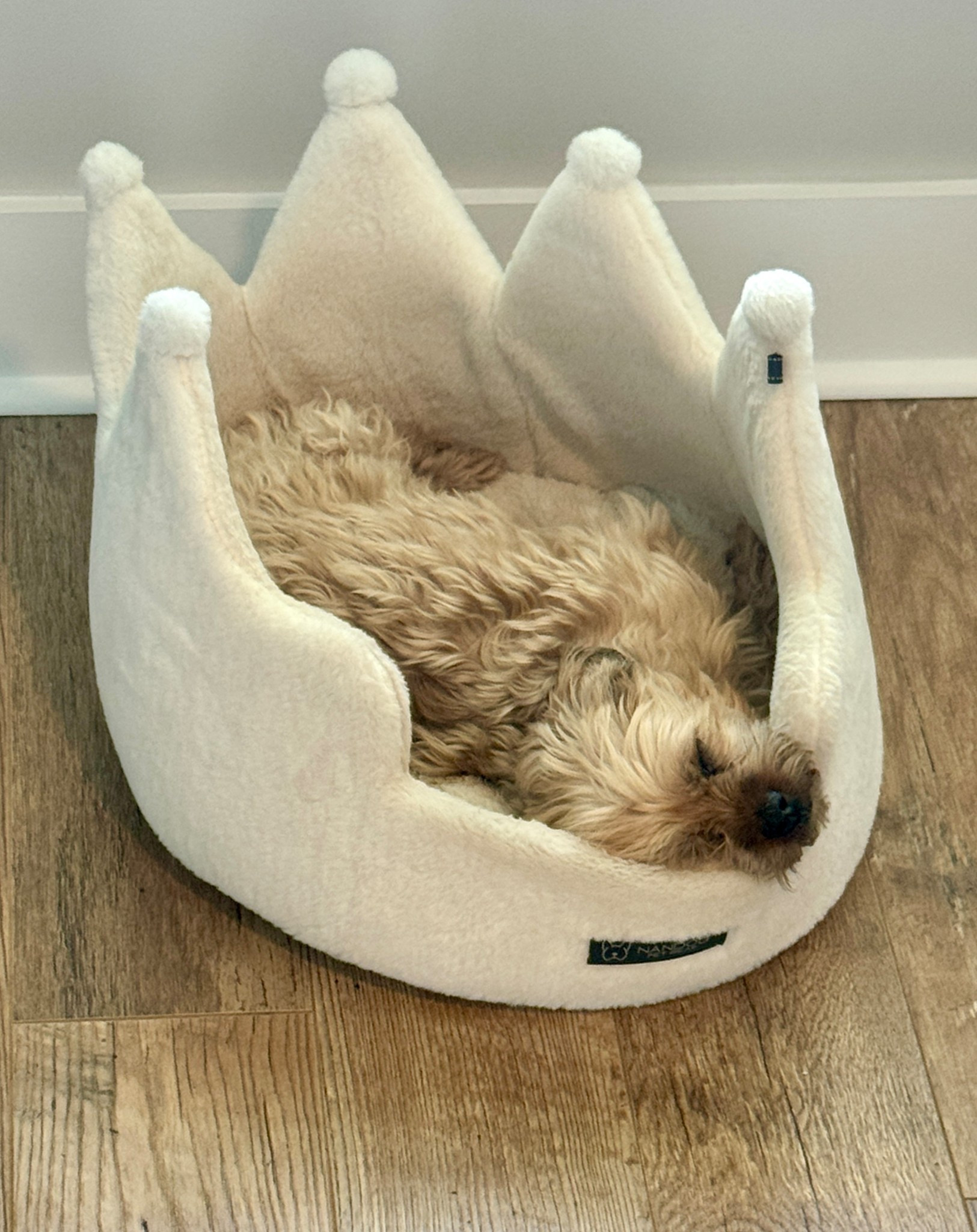 Millie's favorite crown dog bed! 👑

#LTKHome #LTKdayinmylife #LTKmomlife