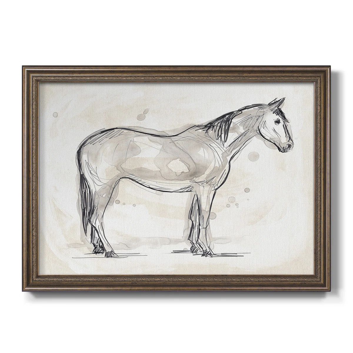 Vintage Equine Sketch II Framed On Canvas Painting | Wayfair North America