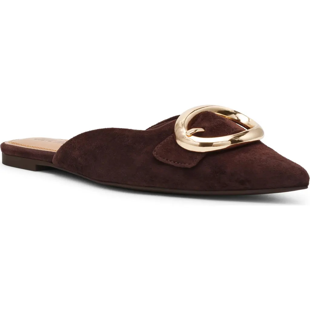 Steve Madden Ira Pointed Toe Mule in Brown Suede at Nordstrom, Size 5.5 | Nordstrom