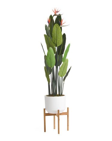 5ft Bird Of Paradise On Stand | TJ Maxx