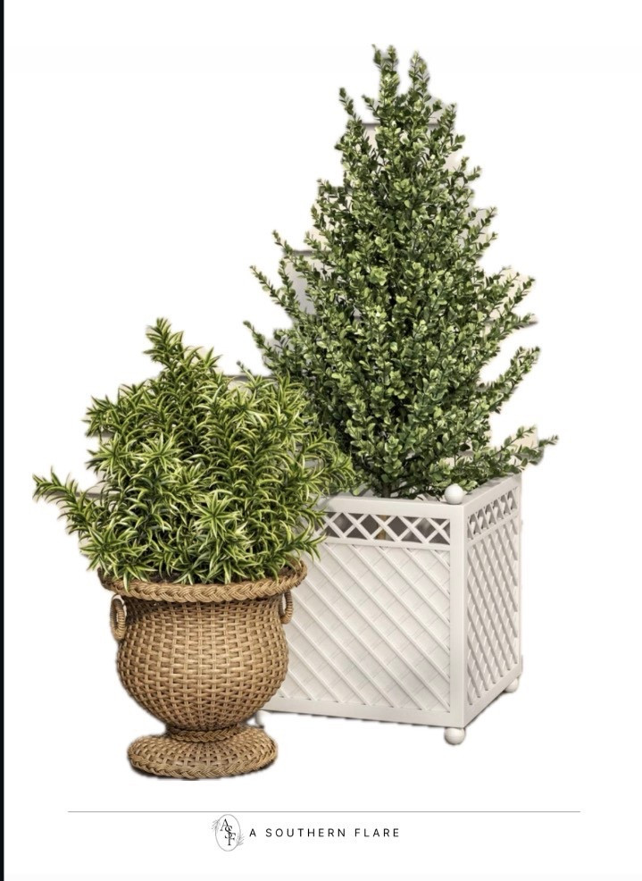 New planters 

#LTKHome