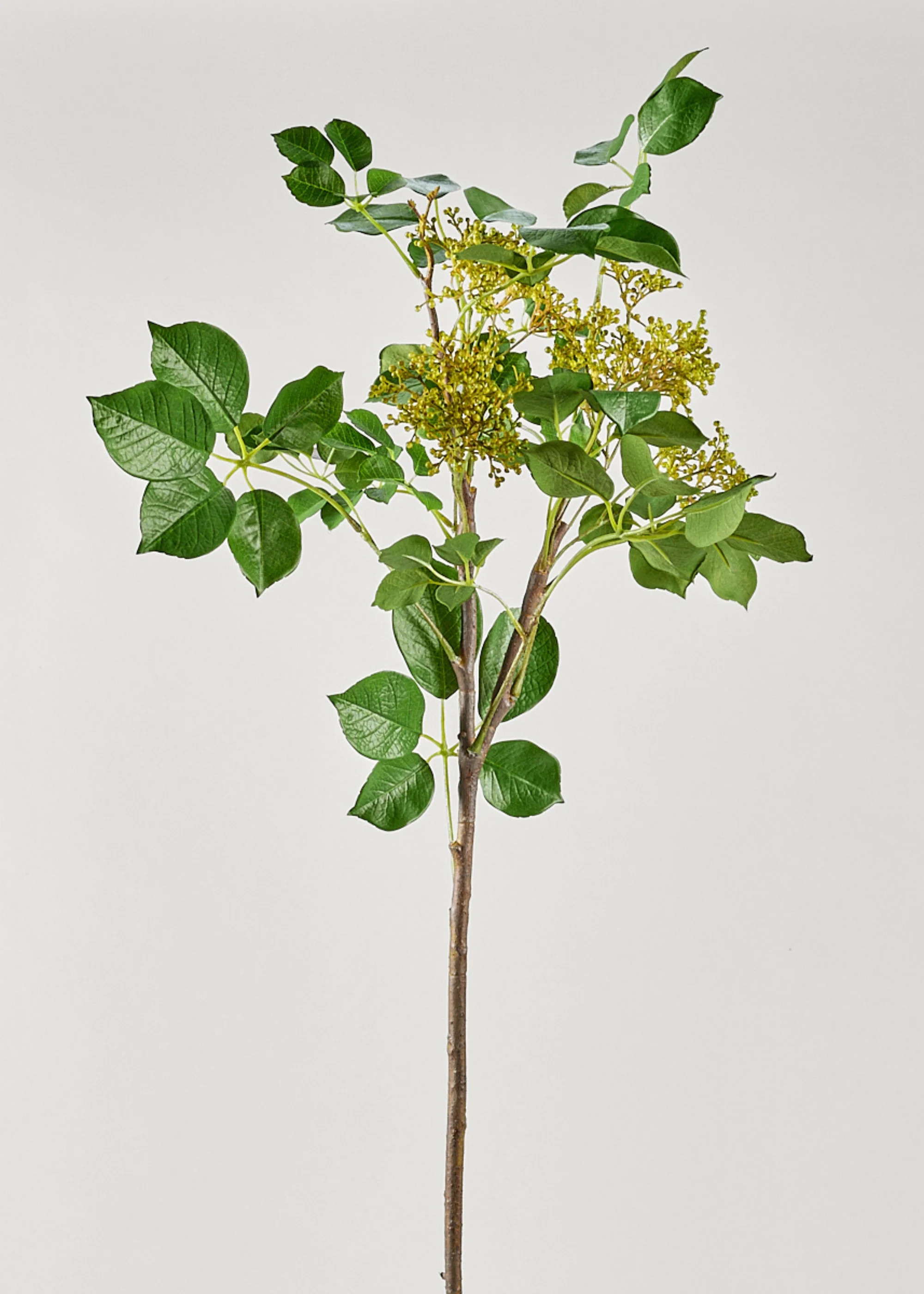 Tall Artificial Seeded Privet Branch - 46 | Afloral