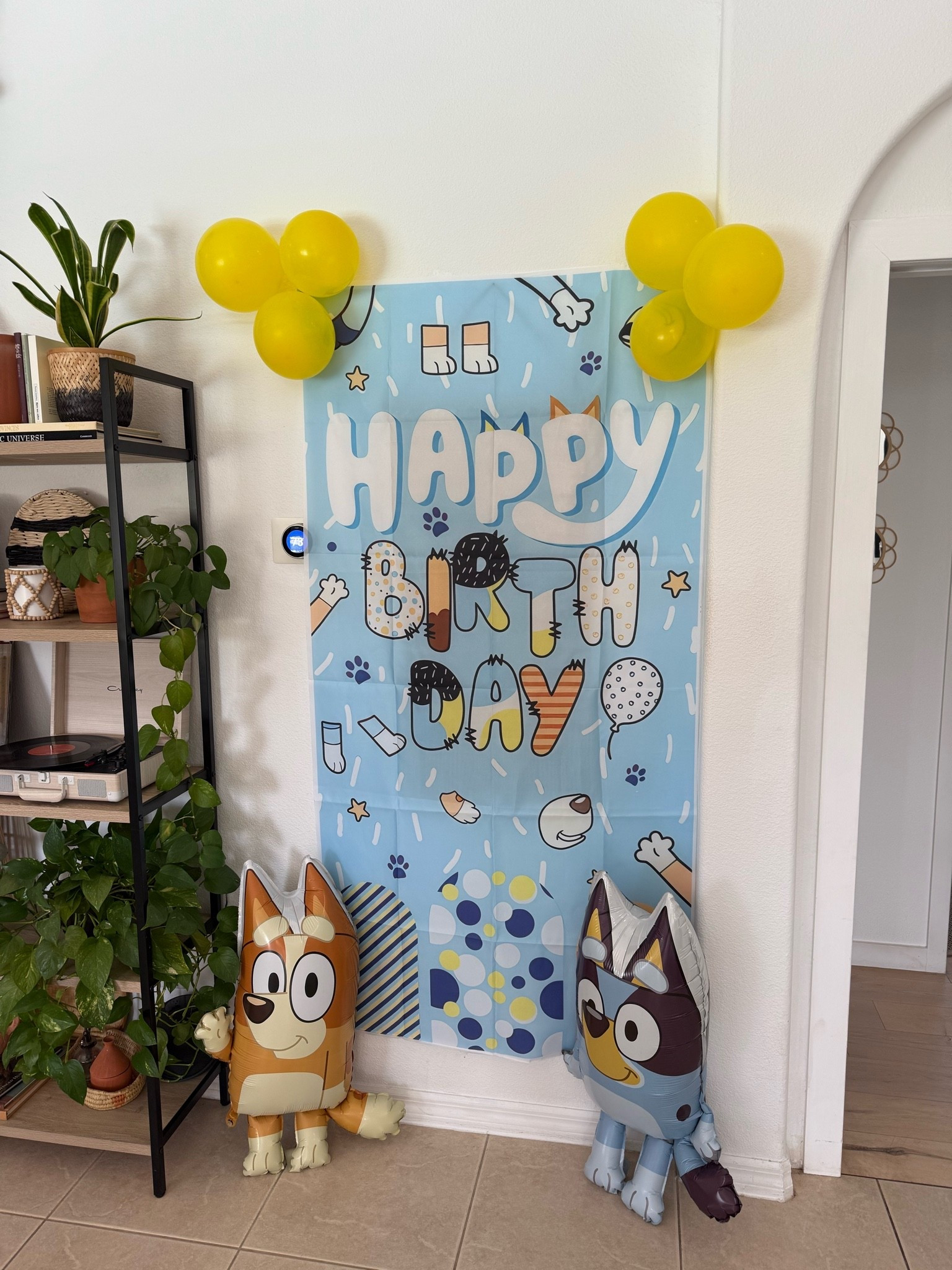 Bluey birthday theme / bluey birthday decor / bluey birthday party